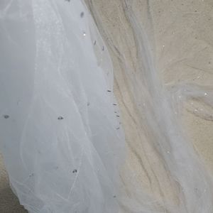 Cathedral-length veil